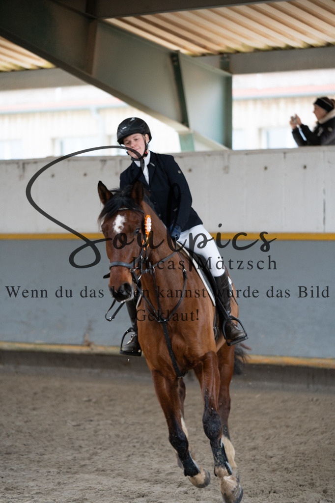 A7V01901 | Pferdefotograf