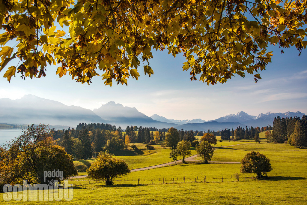 Herbstliche Voralpenlandschaft im Ostallgäu | Herbstliche Voralpenlandschaft im Ostallgäu mit sanften Hügeln, bunten Wäldern und weitem Blick auf die Berge. Die warmen Herbstfarben verleihen der Landschaft eine besondere Stimmung. - Realisiert mit Pictrs.com
