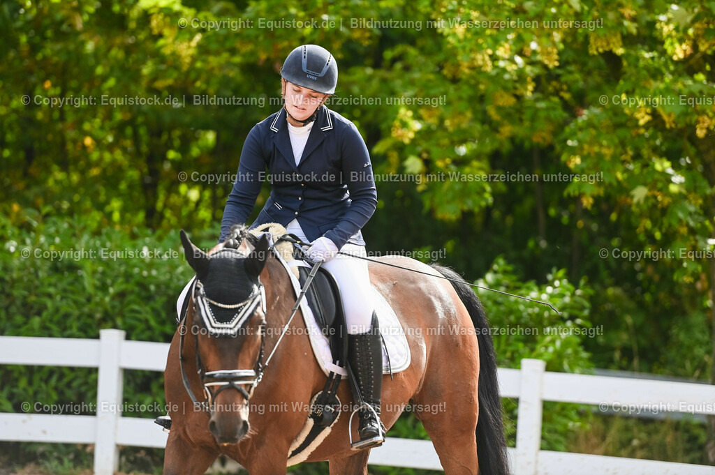 20230716_04_Dressurreiterprüfung Kl.A_0327 | equistock