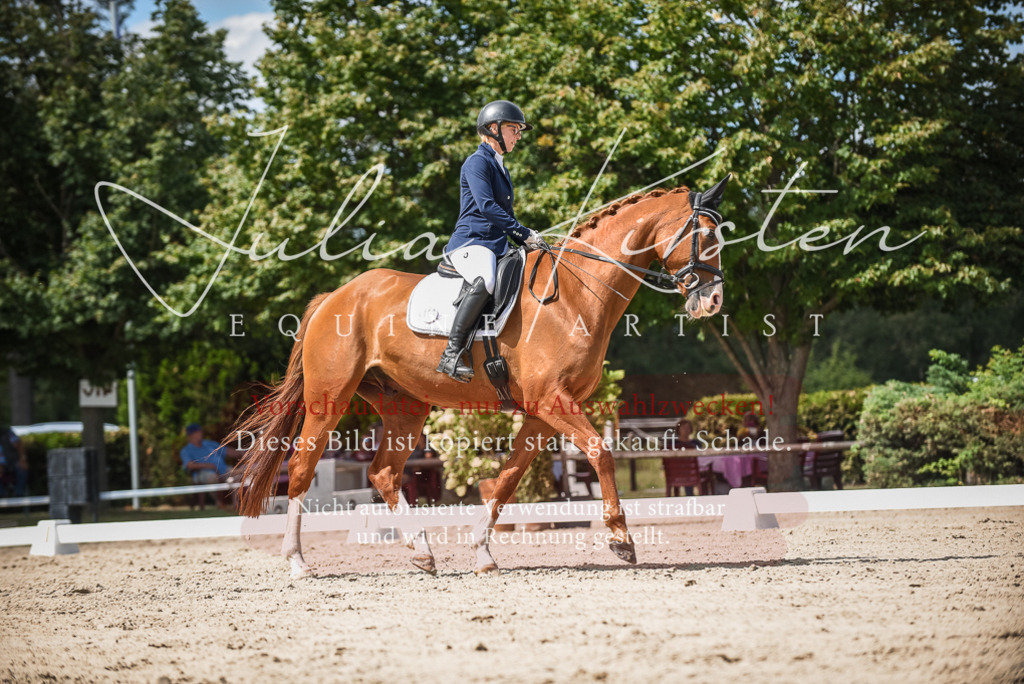 DSC_9217 | Pferde- und Turnierfotografie in Westsachsen. Pferdeportraits, Auftragszeichnungen und intuitive Kunst.