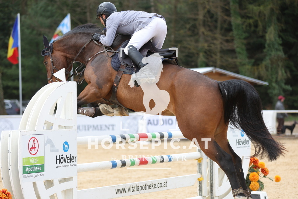 0P6A5088 | Willkommen bei Brunnmayr - Design & Fotografie – Ihrem Spezialisten für Reitturniere und Pferdeveranstaltungen in Oberösterreich, Salzburg und Bayern! Seit über 17 Jahren sind wir leidenschaftlich dabei.