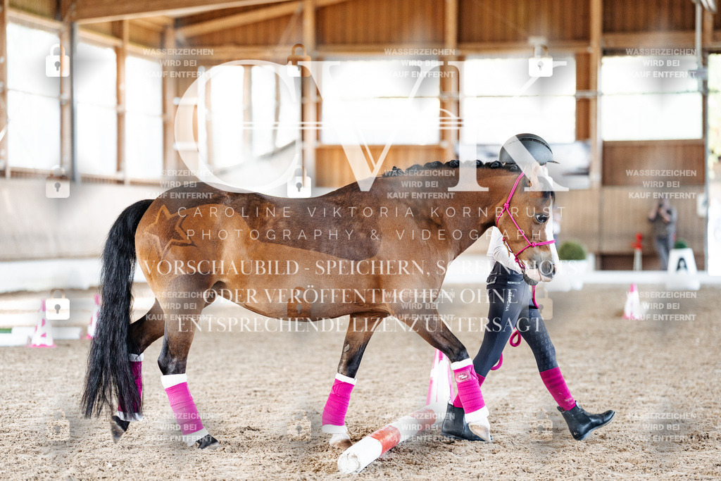 CK905519 | Turnierfotografie Pferdefotografie Trier Rheinland-Pfalz Pferdesport Reitsport Tierfotografie Sportfotografie Pferdevideo Pferdevideografie Equestrianvideography equestrianphotography  - Realisiert mit Pictrs.com