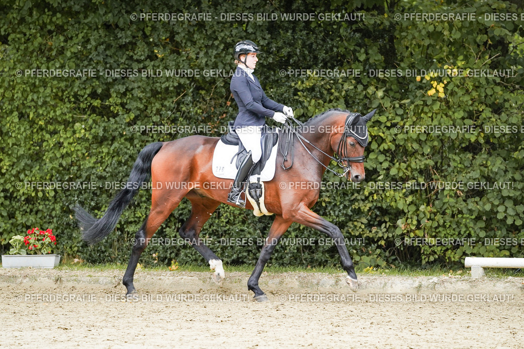 DSC07203 | Pferdegrafie