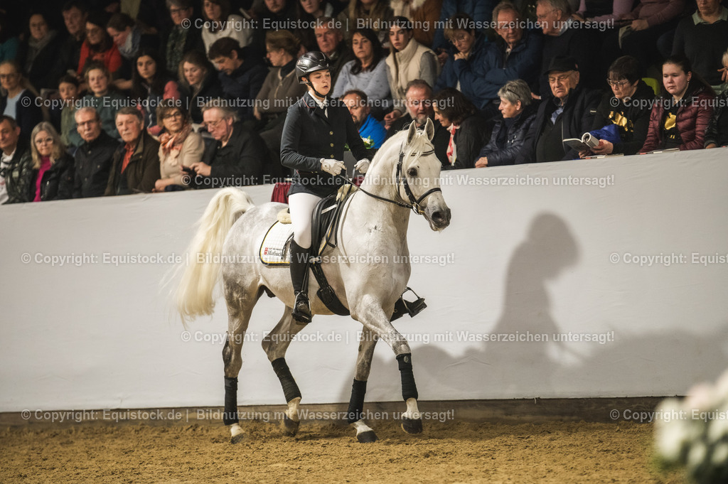 20240302_Hengstvorstellung_Marbach_TOMsPiC_1057 | equistock