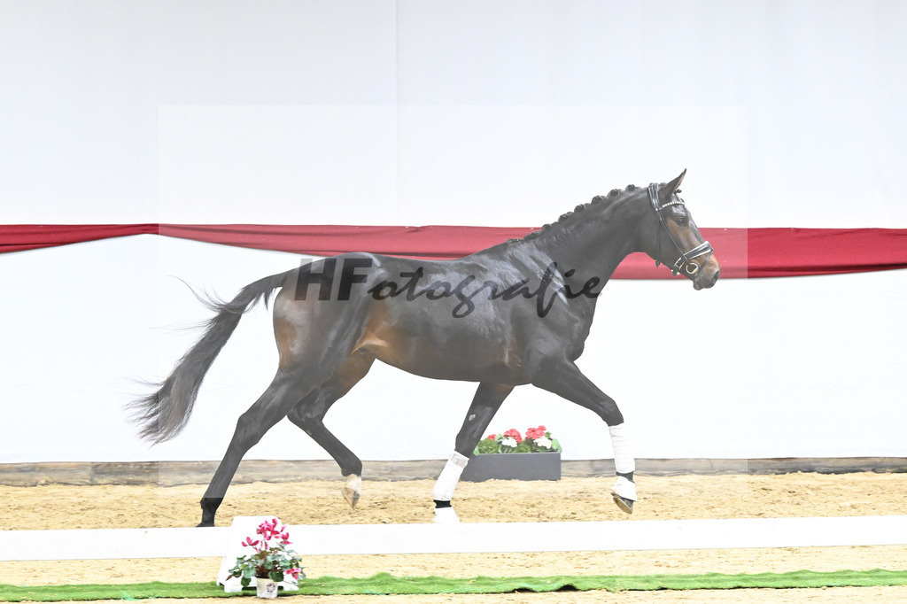 Kat-Nr. 53 v. Marc Cain_van der Raadt_63221489 | hf-fotografie - Realizzato con Pictrs.com