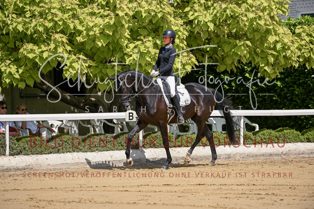 Schugtsche-Aluta25-48.Reitpferfdeprf.-201 | Schugtsche Fotografie - Realizzato con Pictrs.com