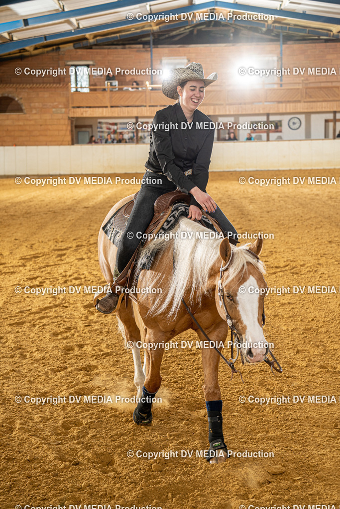 MIT00690 | dv-media-shop - Realisiert mit Pictrs.com