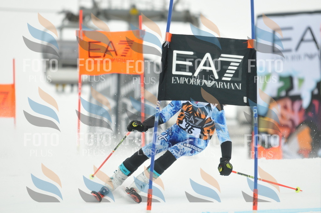 DSC_7675 | holidayphoto