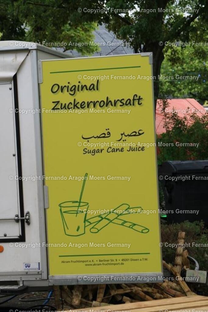 IMG_4677 | aragon-pics - Realisiert mit Pictrs.com