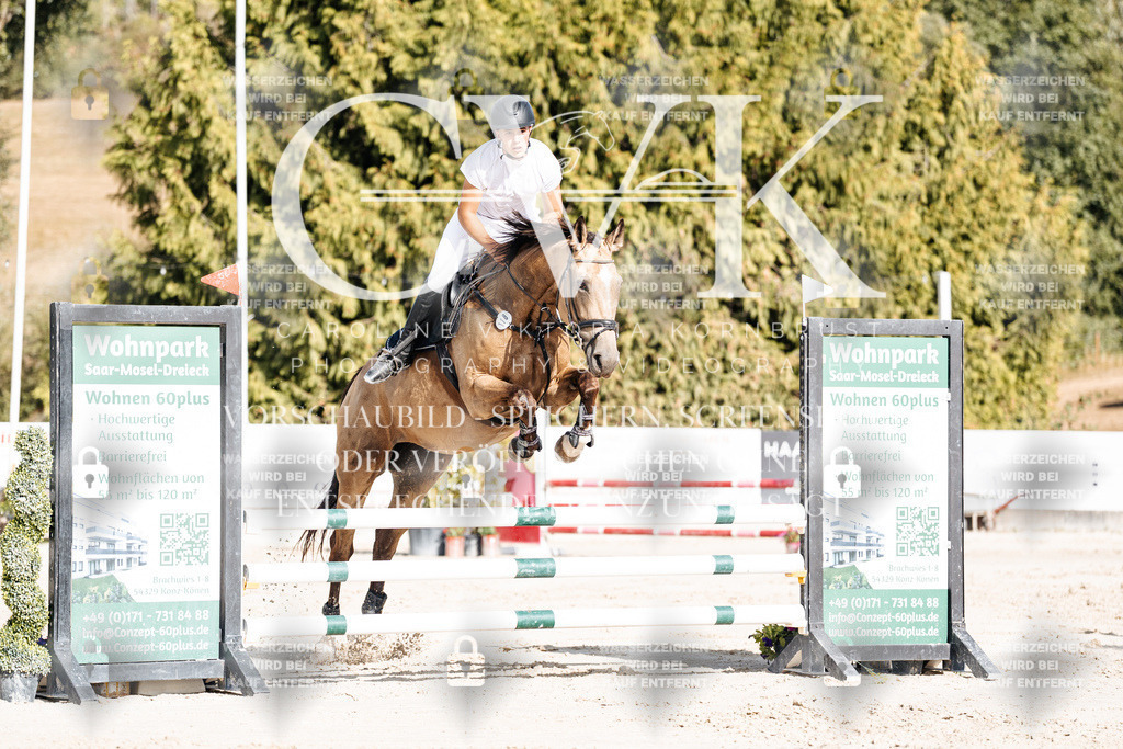 CK909161 | Turnierfotografie Pferdefotografie Trier Rheinland-Pfalz Pferdesport Reitsport Tierfotografie Sportfotografie Pferdevideo Pferdevideografie Equestrianvideography equestrianphotography  - Realisiert mit Pictrs.com