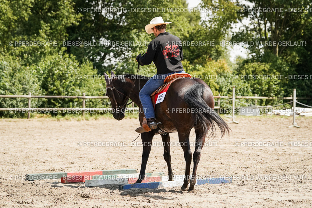 DSC09455 | Pferdegrafie