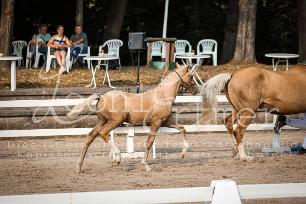11.DoRP00200 | Leoni Ertmer Photography - Realisiert mit Pictrs.com