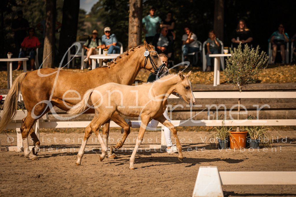 10.DoRP00132 | Leoni Ertmer Photography - Realisiert mit Pictrs.com
