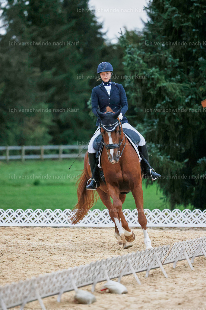 04_2-177-Dressur M__ -StoibPH-3015 | working equitationturnier fotograf videograf stoibphotography marixx film working equitation deutschland reitsport turnierfotografie eventfotografie equestrian events