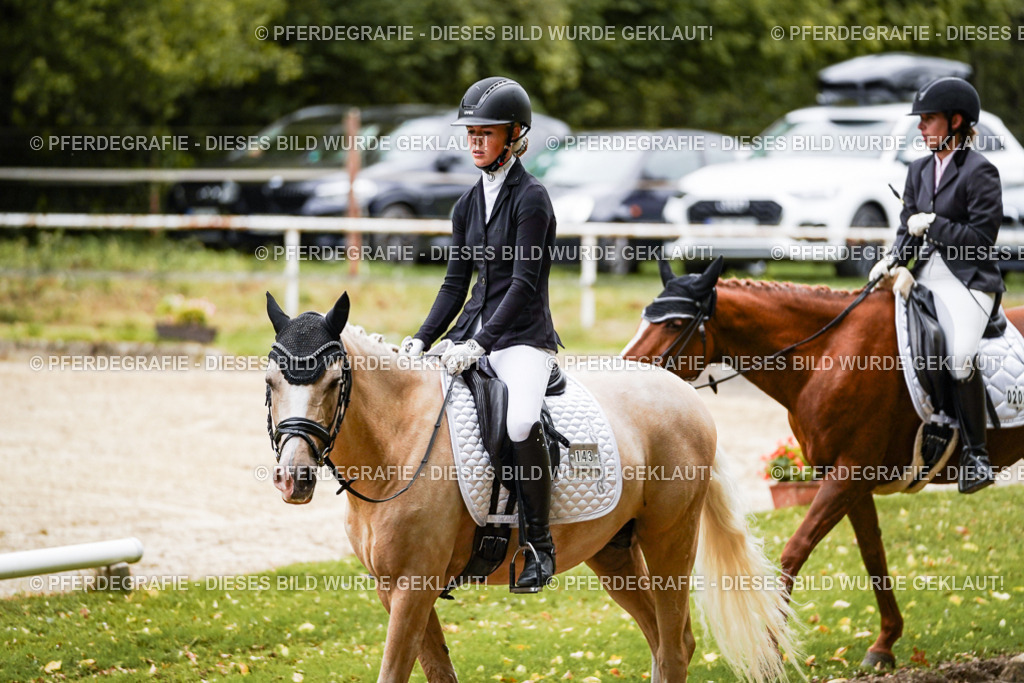 DSC08765 | Pferdegrafie