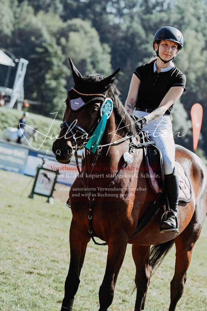 DSC_6220 | Pferde- und Turnierfotografie in Westsachsen. Pferdeportraits, Auftragszeichnungen und intuitive Kunst.