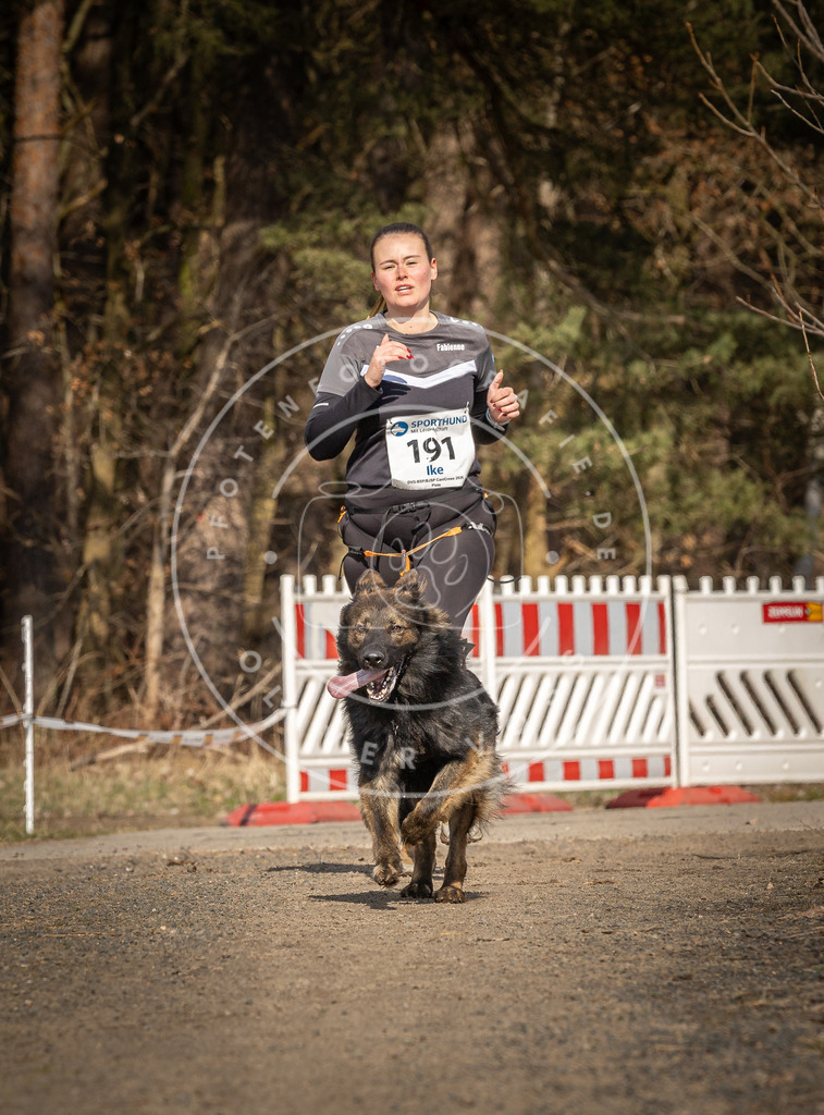 DV3A5737 | Hundefotografie, Tierfotograf, Pfotenfotografie, Fotoshooting Hund, Hunde Portrait, Hundesport, Hundeportraits, Heideshooting, Hunde, Sportfotograf, Hundefotograf, Turnierhundsport, THS,  - Realisiert mit Pictrs.com