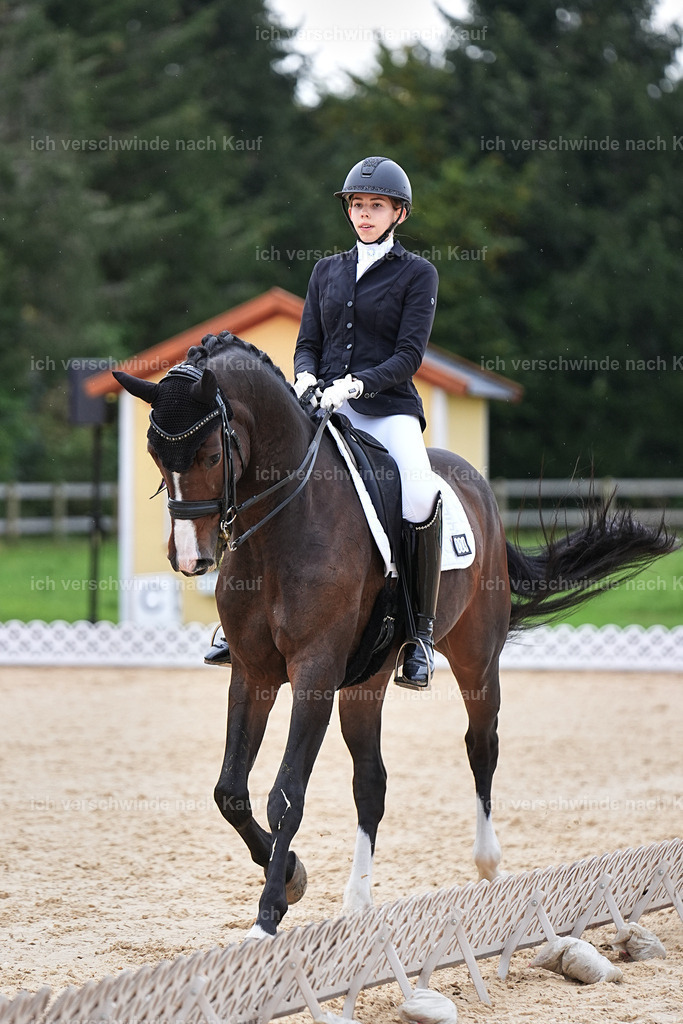 3-224-Dressur M_-Marixx-2018 | working equitationturnier fotograf videograf stoibphotography marixx film working equitation deutschland reitsport turnierfotografie eventfotografie equestrian events