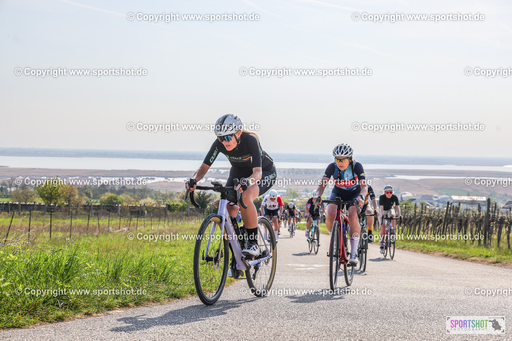 007A9166 | Neusiedlersee Radmarathon #neusiedlerseeradmarathon #neusiedlersee #nrm26 #yourpictrs #sportshot_your_pictrs