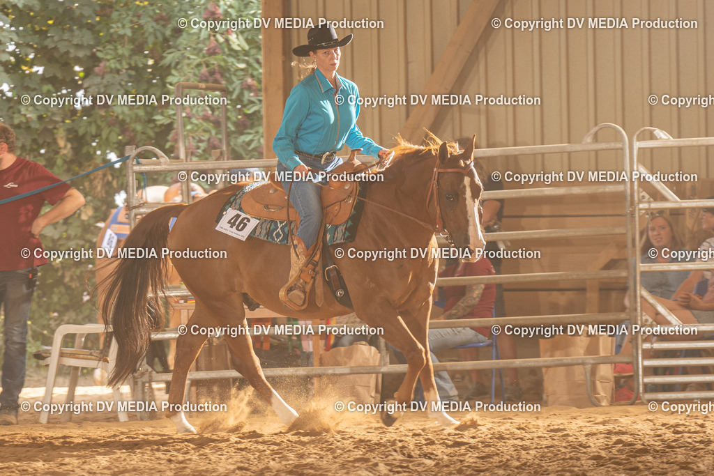 NID03618 | dv-media-shop - Realisiert mit Pictrs.com