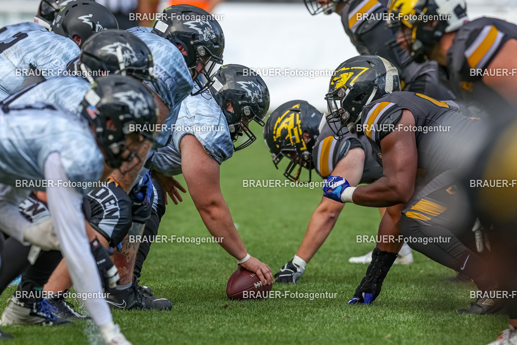 097_Ravens_20230827_1623 | BRAUER-Fotoagentur