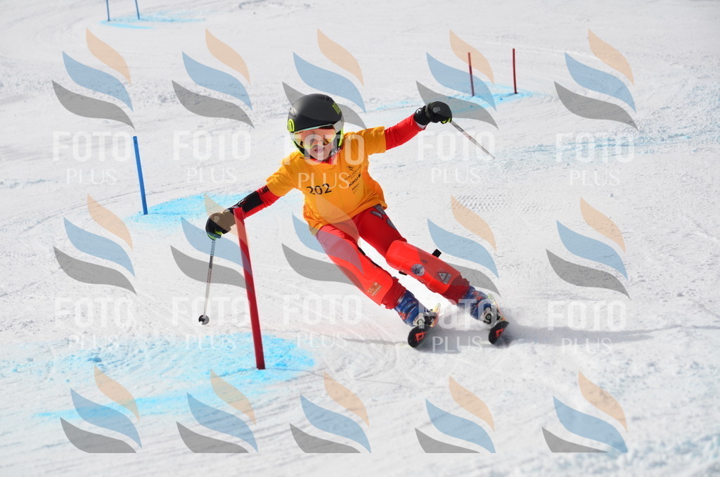 C8130 | holidayphoto