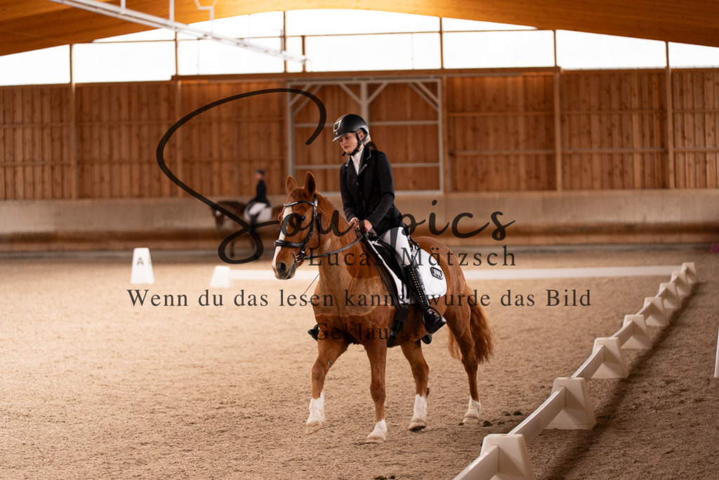 A7506932 | Turnier/Reitfotograf