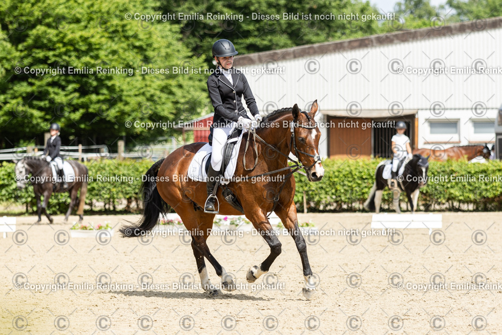 CL5A1045 | Emilia Reinking Fotografie - Realisiert mit Pictrs.com