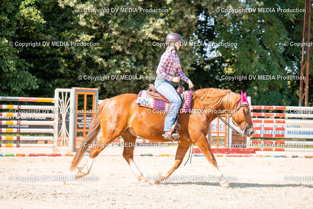 ZH100700 | dv-media-shop - Realisiert mit Pictrs.com