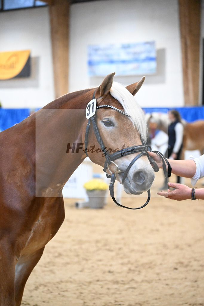 Kat-Nr. 31 Weinbrand v. Weingold S_Brugger_48254162 | hf-fotografie - Realisiert mit Pictrs.com