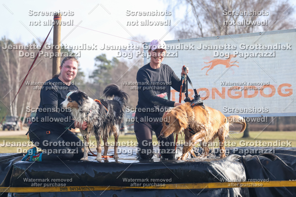 Dog Paparazzi - Strongdog North Mrz26-646 | Dog Paparazzi Jeanette Grottendiek Fotografie & Videografie - Realisiert mit Pictrs.com