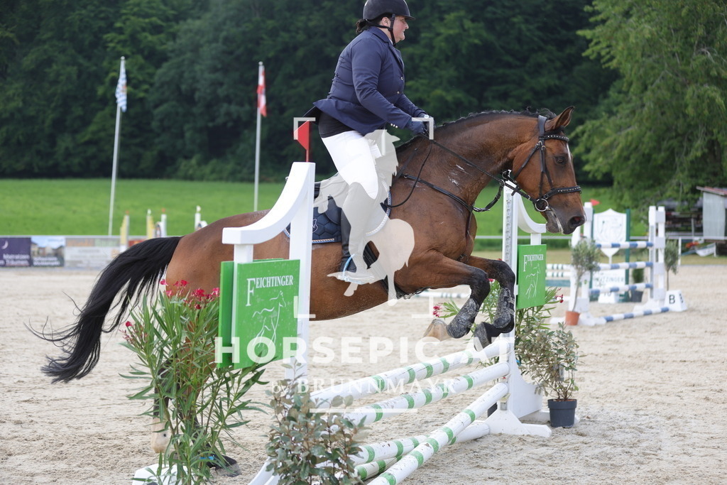 0P6A5387 | Willkommen bei Brunnmayr - Design & Fotografie – Ihrem Spezialisten für Reitturniere und Pferdeveranstaltungen in Oberösterreich, Salzburg und Bayern! Seit über 17 Jahren sind wir leidenschaftlich dabei.