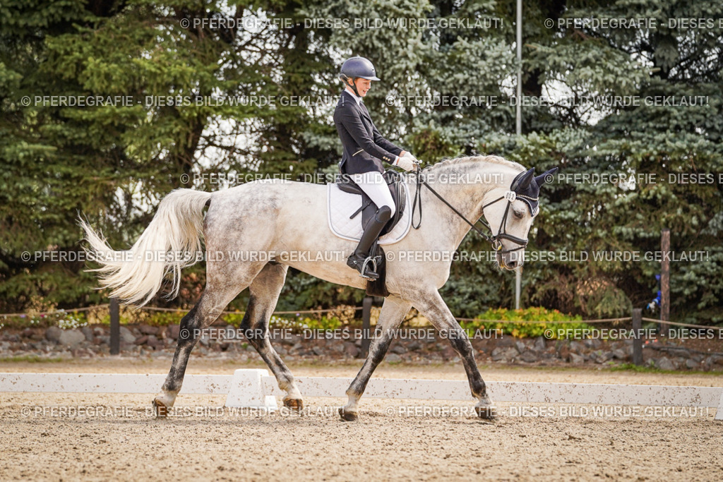 DSC01333 | Pferdegrafie