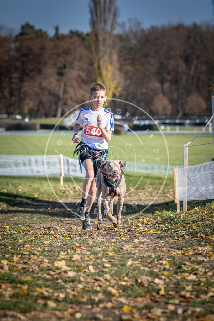 CaniXpix_DV3A8368 | Hundefotografie, Tierfotograf, Pfotenfotografie, Fotoshooting Hund, Hunde Portrait, Hundesport, Hundeportraits, Heideshooting, Hunde, Sportfotograf, Hundefotograf, Turnierhundsport, THS,  - Realisiert mit Pictrs.com