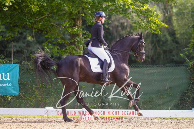 DKP42980 | Turnierfotos kaufen im Webshop von Daniel Kuhl Photography – entdecke professionelle Reitsportfotos aus Turnieren & Events. Hochwertige Turnierbilder online bestellen & sichern. Jetzt Fotos von Reitsportturnieren kaufen!