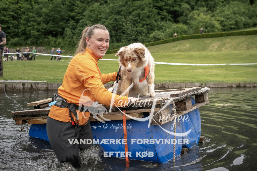 0959_ZZ93261 | kk-dogfotos