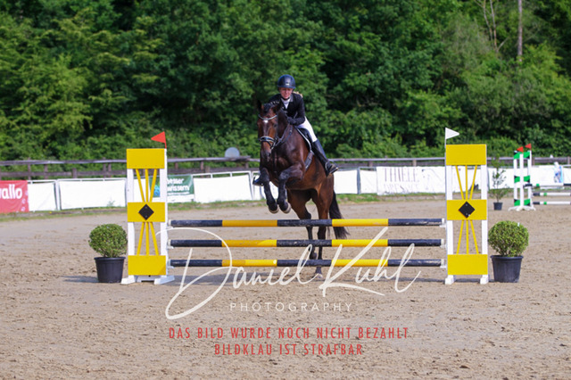 DKP41234 | Turniersportfotografie; Pferdefotografie; Dressurfotografie