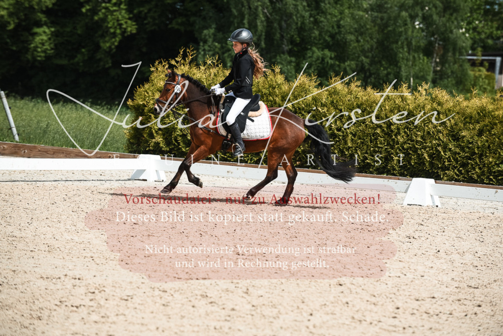 20230518_JK-Röhrsdorf-11-0813 | Pferde- und Turnierfotografie in Westsachsen. Pferdeportraits, Auftragszeichnungen und intuitive Kunst.