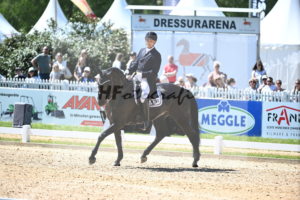 Spatz_Walentina_12246287 | hf-fotografie - Realizzato con Pictrs.com