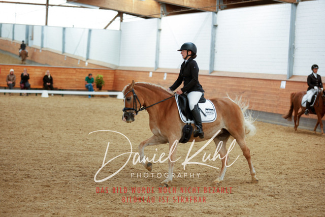 _62_5808 | Turniersportfotografie; Pferdefotografie; Dressurfotografie