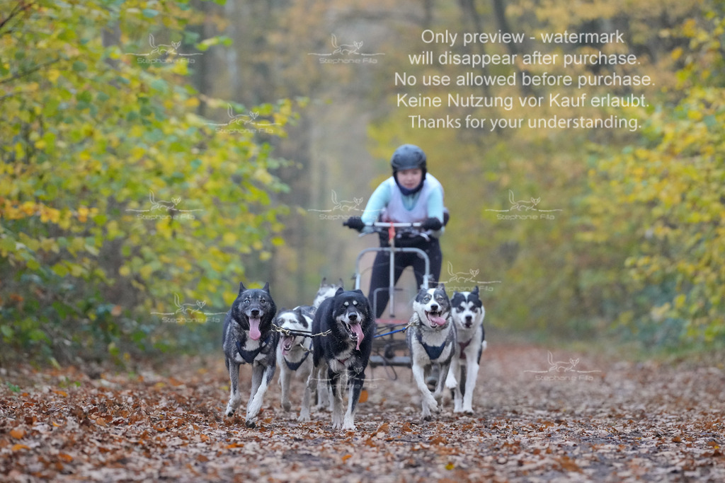 Rigs4bis8So-91 | stephaniefillaphotographie - Realisiert mit Pictrs.com