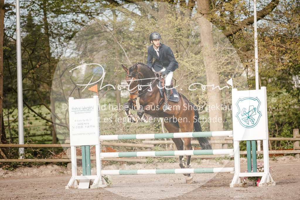 3I6A3391 | Stimmungsvolle Portraits und Reitsportfotografie im Ruhrgebiet und im Münsterland.

Pferdefotografie, Hundefotografie, Tierfotografie, Reportagen, Portraits von Tier und Mensch, Turnierfotografie in Bochum, Recklinghausen, Marl, Haltern am See, Dülmen.. - Realisiert mit Pictrs.com