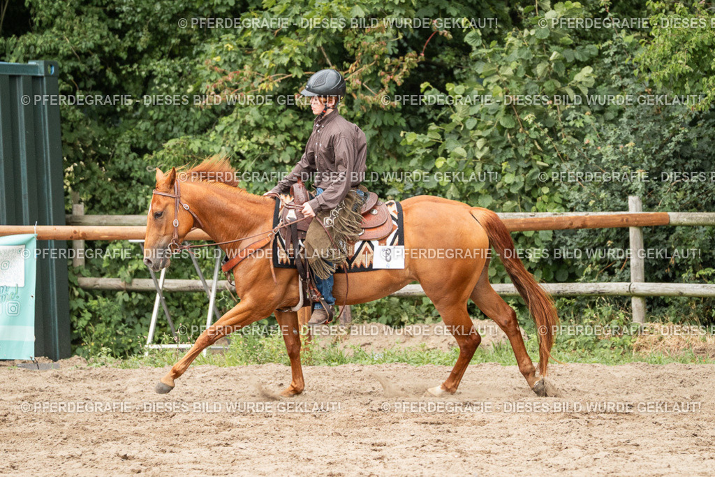 DSC03871 | Pferdegrafie