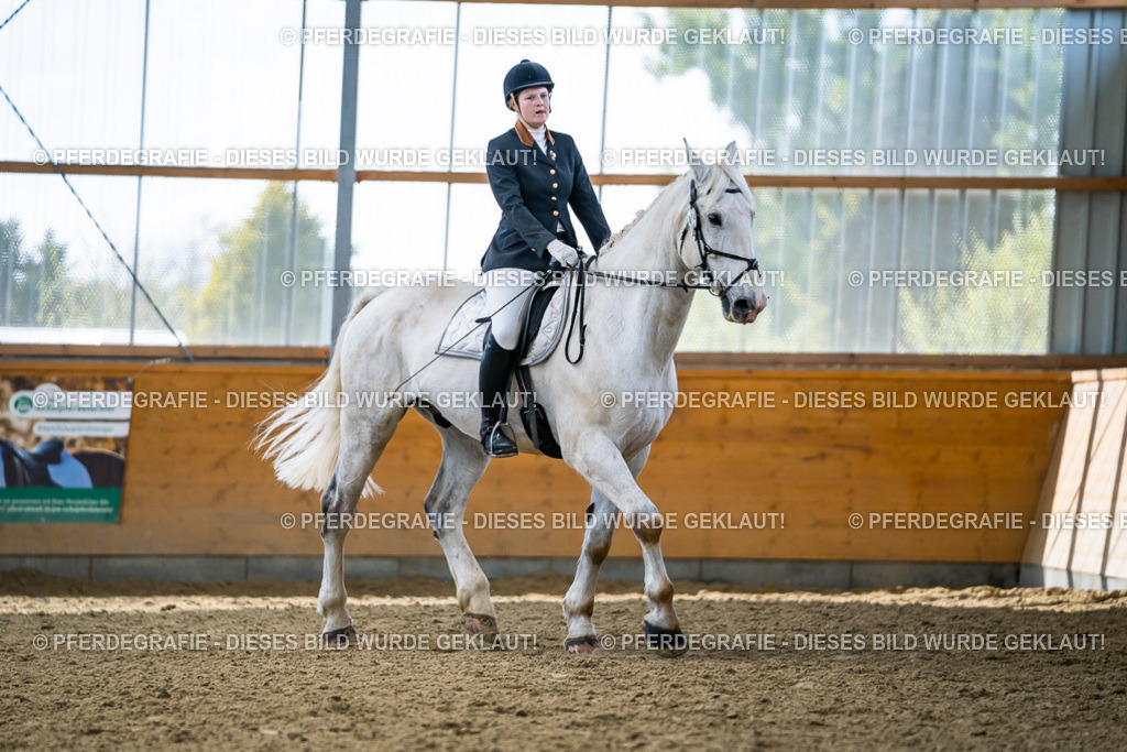 DSC05720 | Pferdegrafie