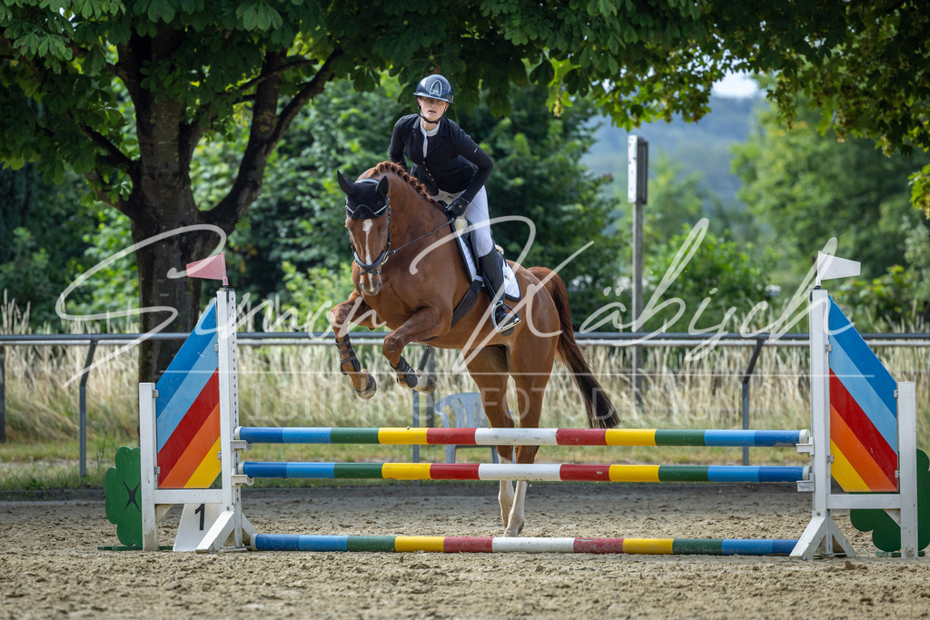 20260704-_3LI6947 | Tierfotografie Pferde, Hunde, Katzen, Haustiere.
Turnierfotografie Reitturniere, Reiten, Springreiten, Dressur in Hanau, dem Main-Kinzig-Kreis und dem Rhein-Main- Gebiet um Frankfurt