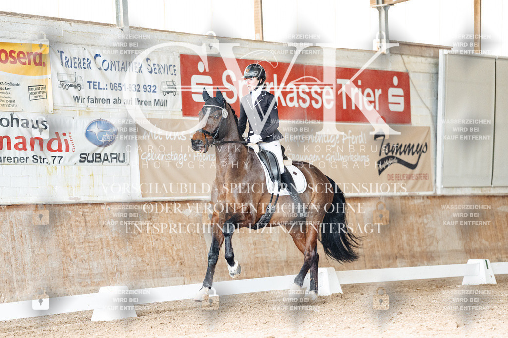 CK901953 | Turnierfotografie Pferdefotografie Trier Rheinland-Pfalz Pferdesport Reitsport Tierfotografie Sportfotografie Pferdevideo Pferdevideografie Equestrianvideography equestrianphotography  - Realisiert mit Pictrs.com