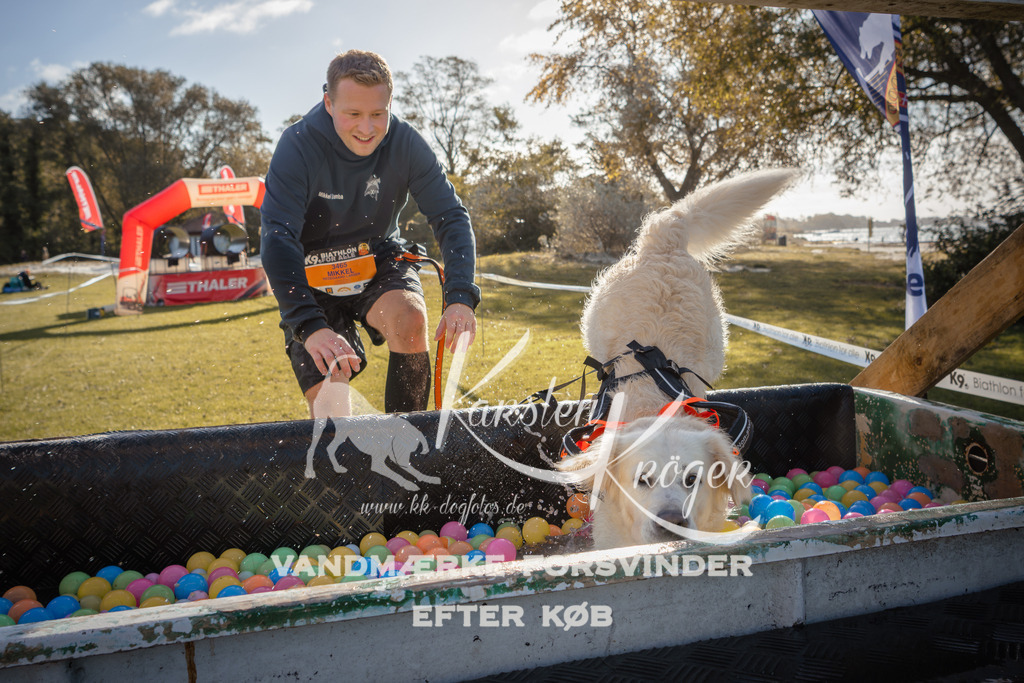 1053_ZZ90733 | kk-dogfotos