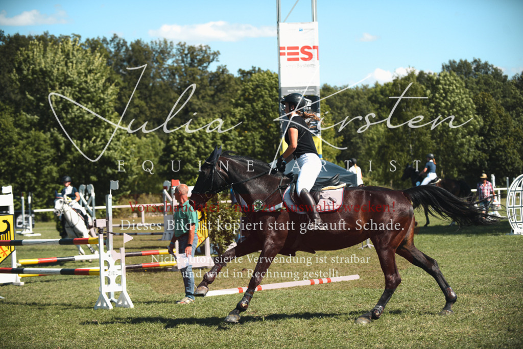 DSC_7354 | Pferde- und Turnierfotografie in Westsachsen. Pferdeportraits, Auftragszeichnungen und intuitive Kunst.