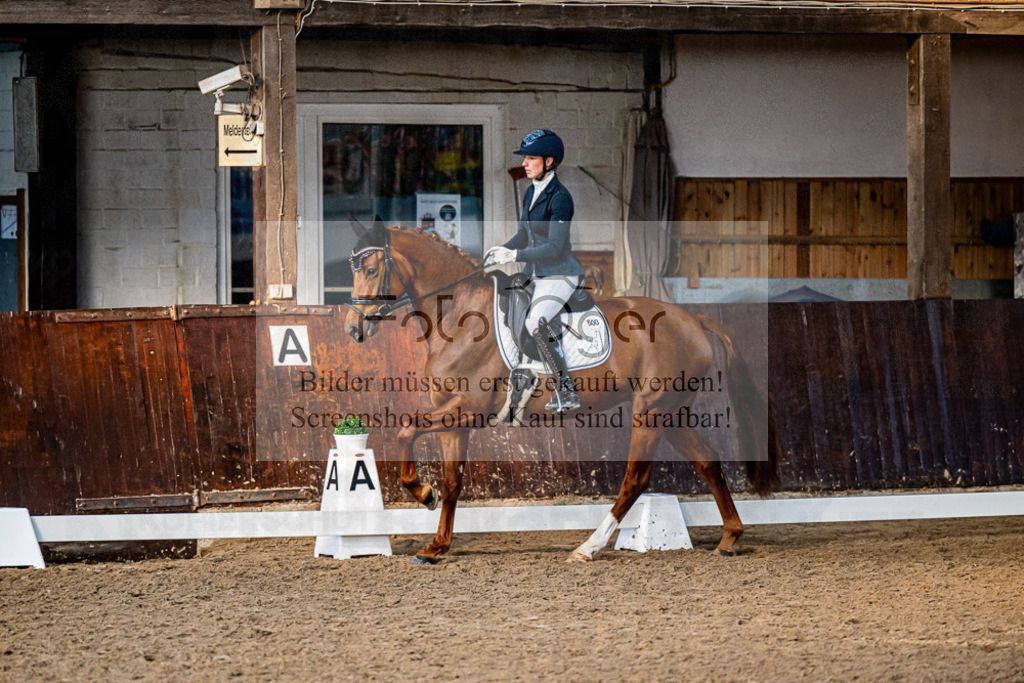 20240308-DOS_4685 | Entdecke hochwertige Reitturnierfotos von Foto Oger. Professionell, emotional und authentisch – jetzt Lieblingsmomente im Shop bestellen.Deutschlandweite Turnierfotografie. - Realisiert mit Pictrs.com