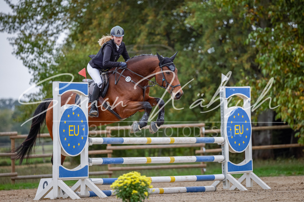 20251012-_3LI4450 | Tierfotografie Pferde, Hunde, Katzen, Haustiere.
Turnierfotografie Reitturniere, Reiten, Springreiten, Dressur in Hanau, dem Main-Kinzig-Kreis und dem Rhein-Main- Gebiet um Frankfurt